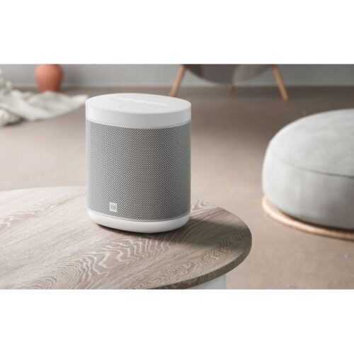 Mi Smart Speaker